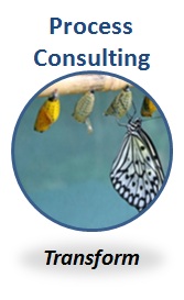 Process Consulting